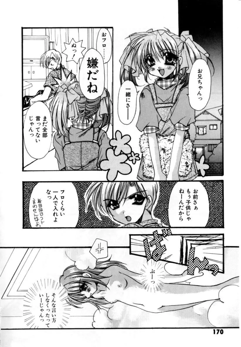 ゆれる白い花 Page.172