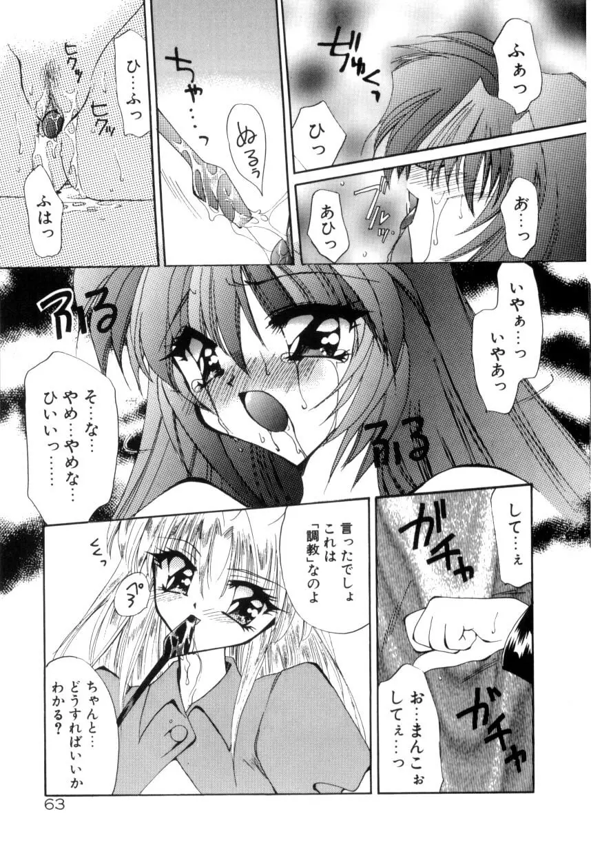 眠りつづけるお姫様 Page.65