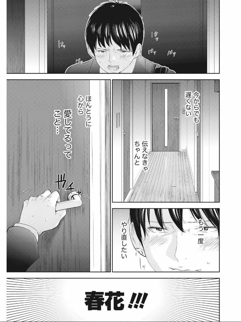 ネトラセラレ Page.380