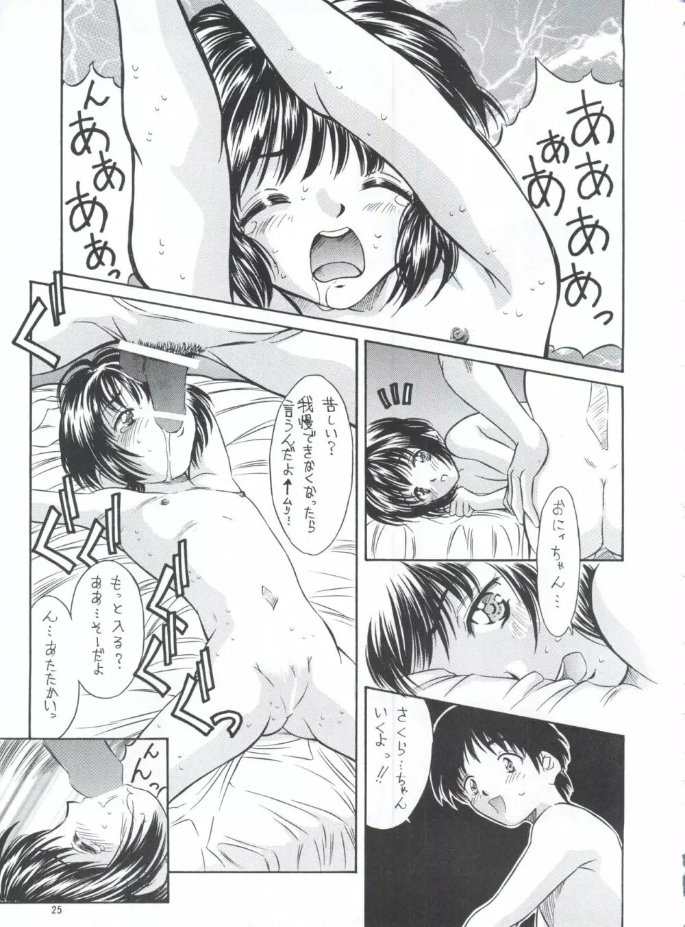 平成にんふらばぁ 5 Page.24