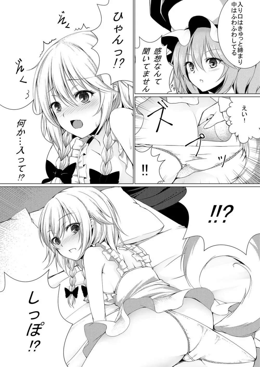 お嬢様とお戯れ Page.12