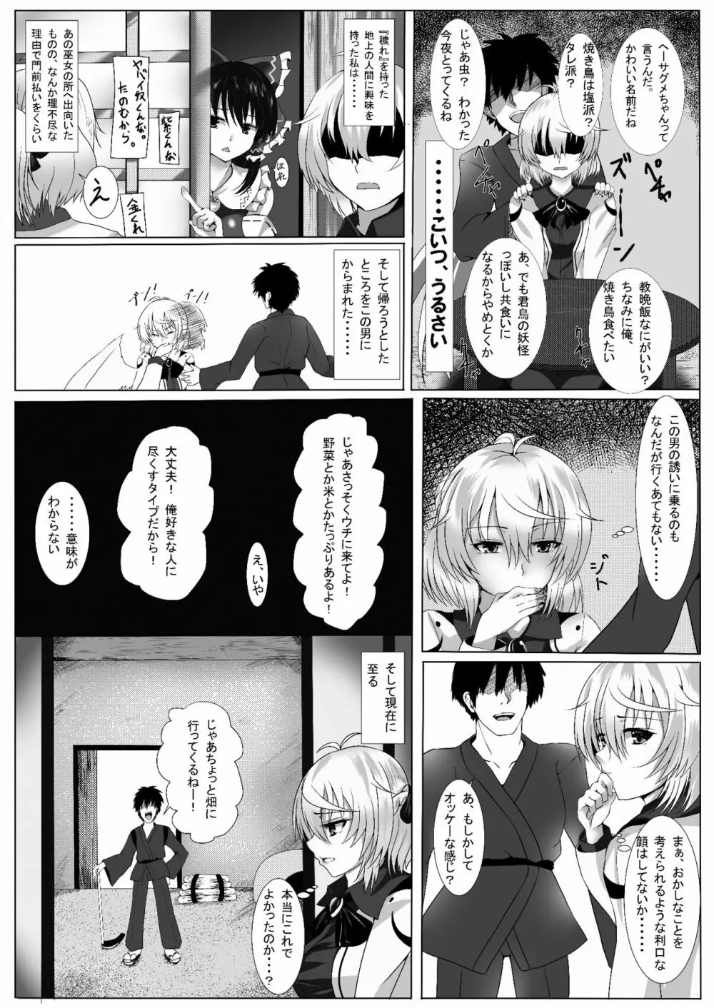 サグメ・キャプチャ Page.3