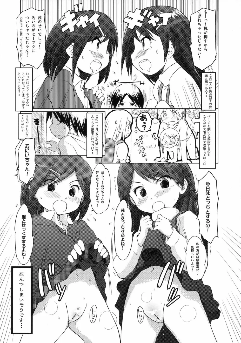 わんちょ家ノート C80 Page.17