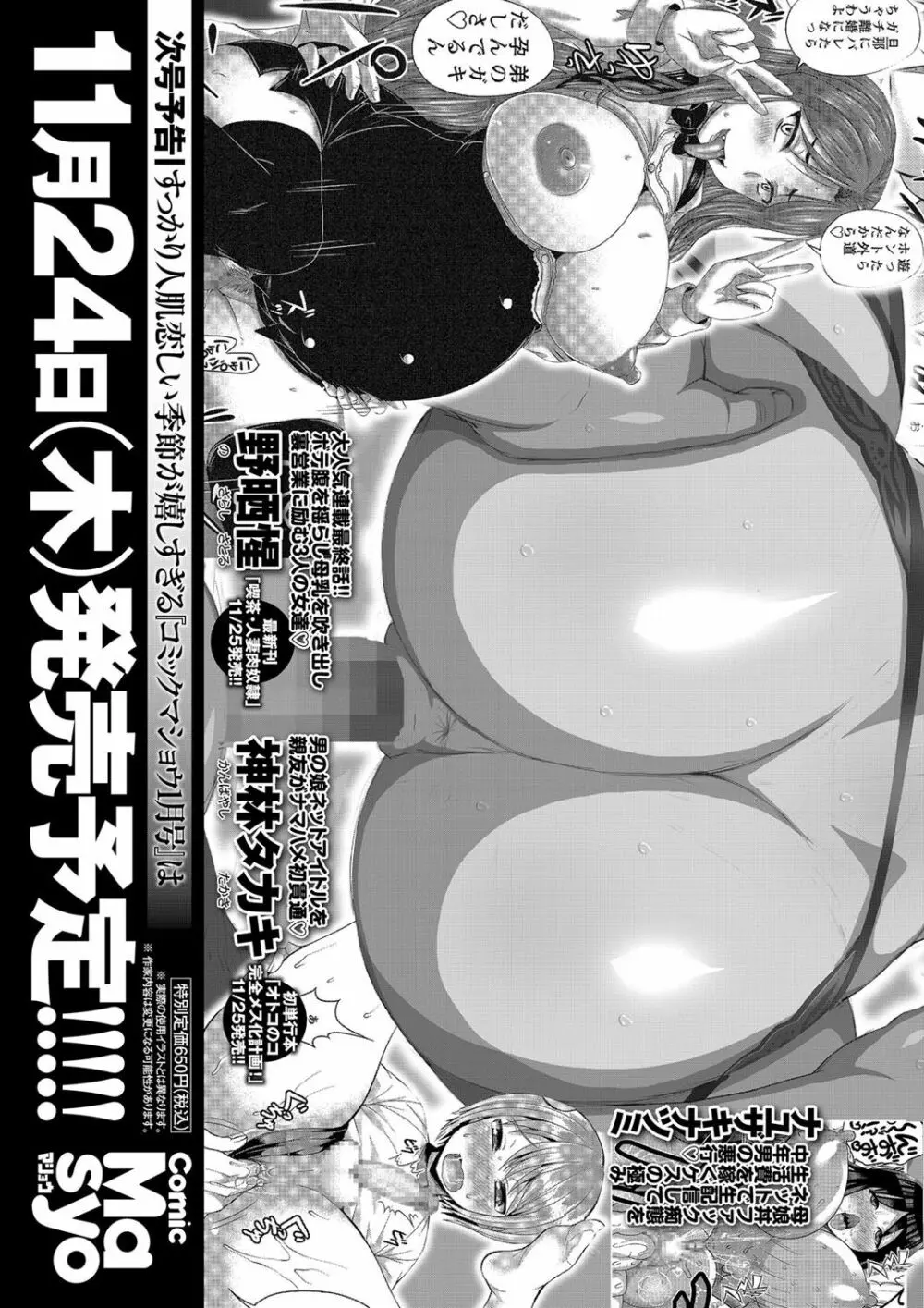 コミック・マショウ 2016年12月号 Page.294
