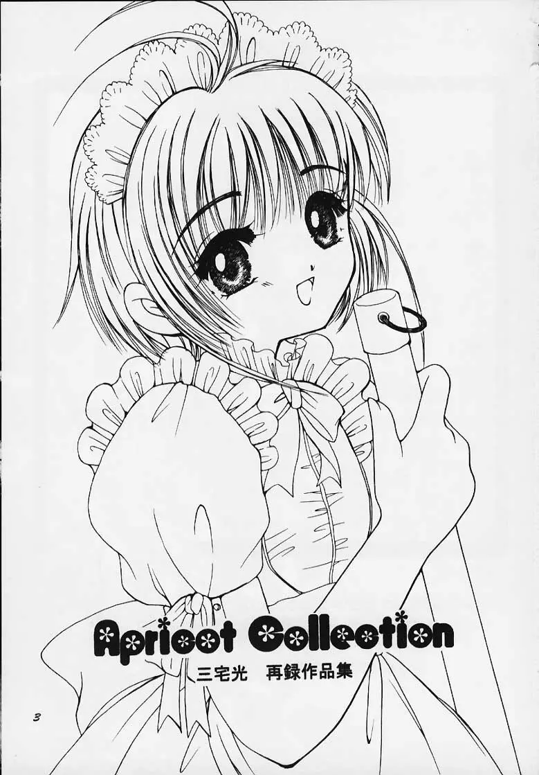Apricot Collection Page.2