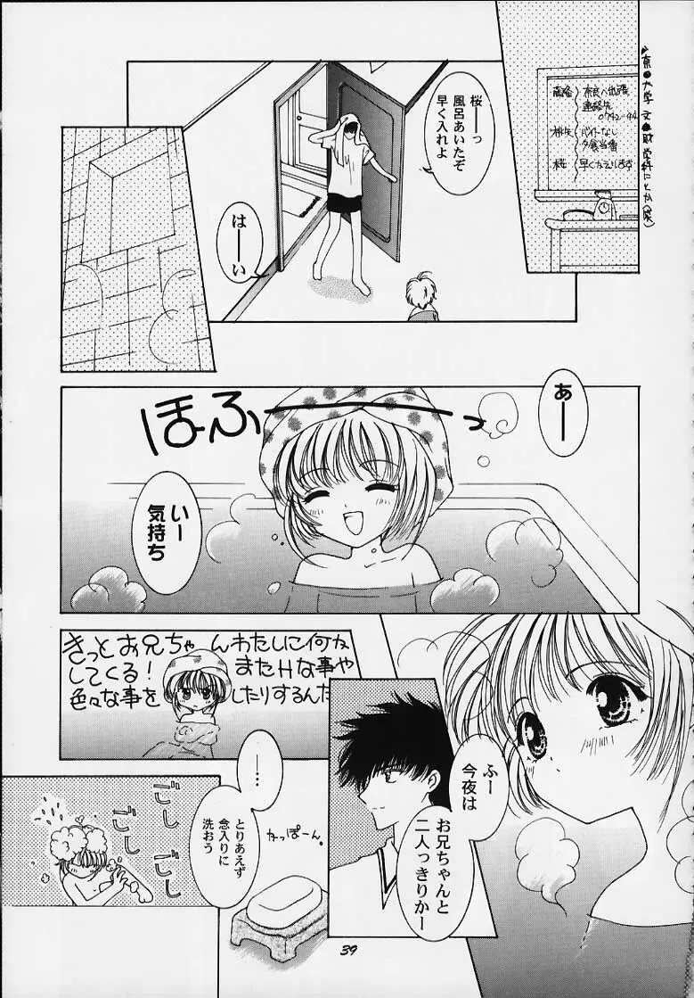 Apricot Collection Page.36