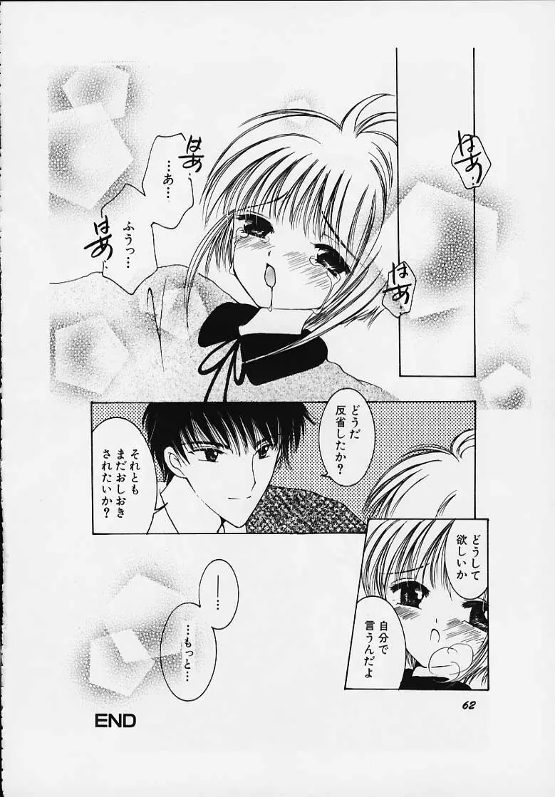 Apricot Collection Page.58